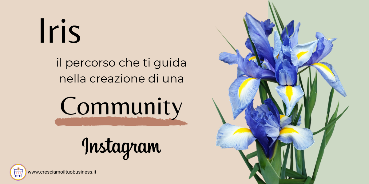 Instagram Marketing Corso