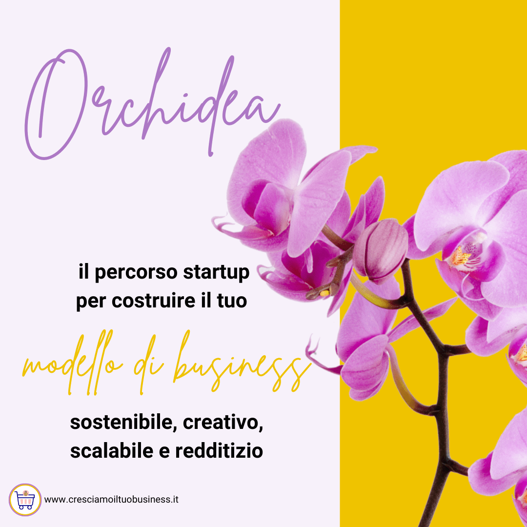 percorso orchidea per creare un modello di business online