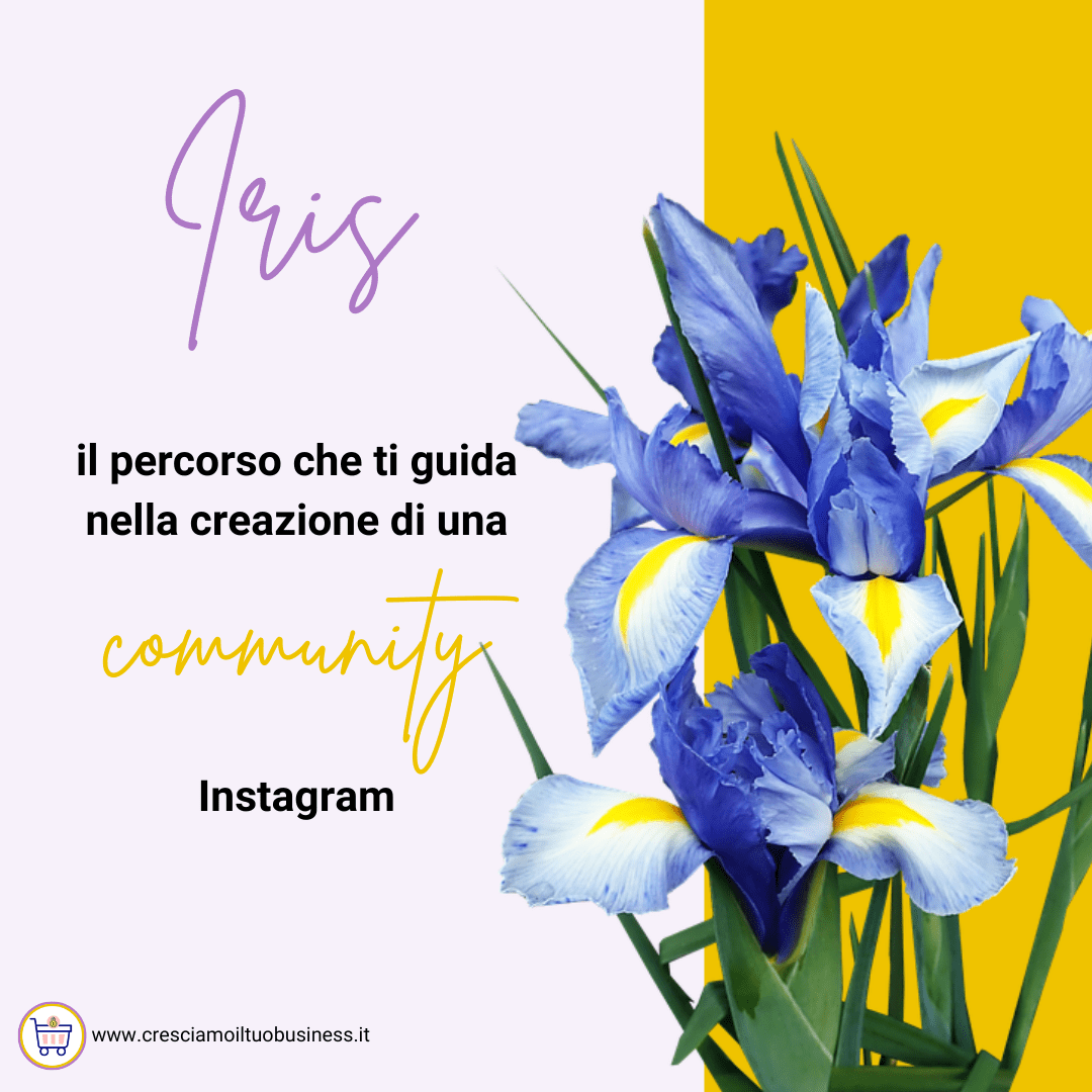 percorso iris crea una community instagram